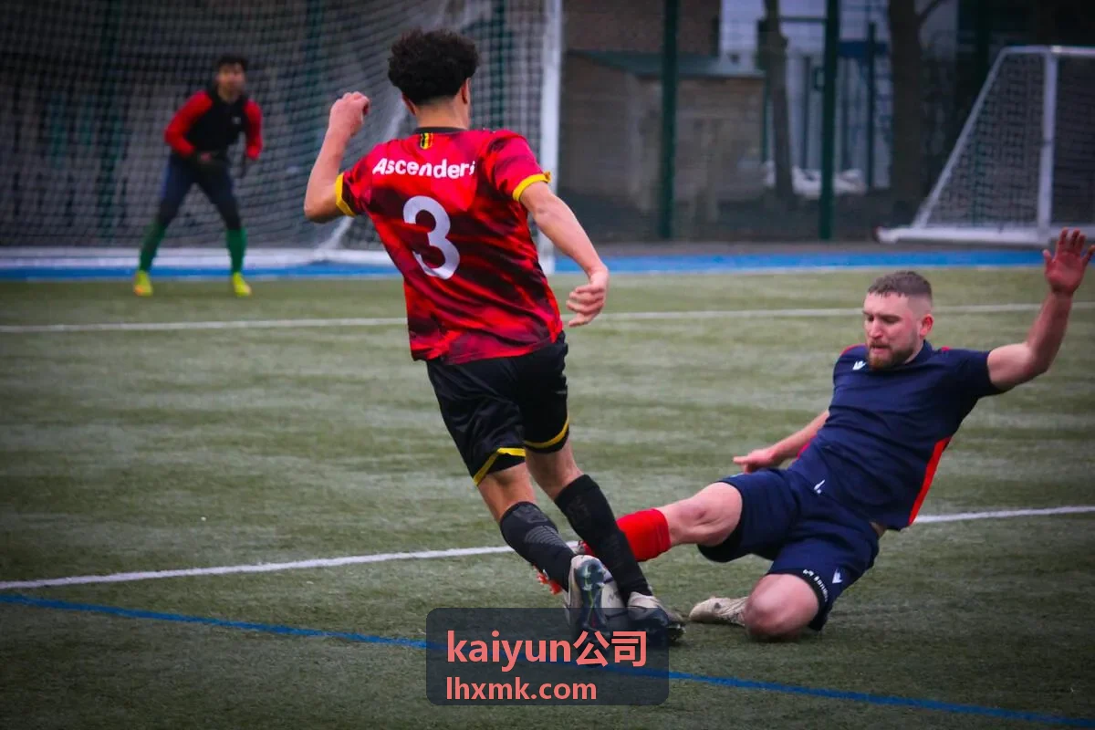 kaiyun公司项目内容配图
