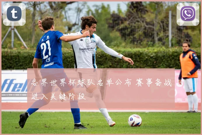 各界世界杯球队名单公布 赛事备战进入关键阶段
