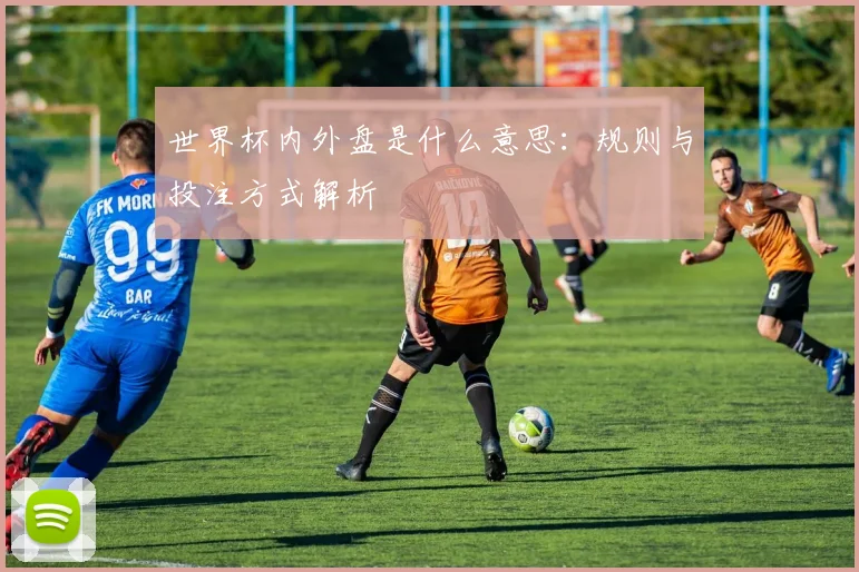 世界杯内外盘是什么意思：规则与投注方式解析