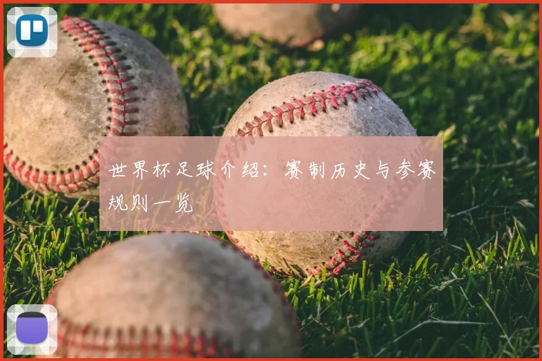 世界杯足球介绍：赛制历史与参赛规则一览