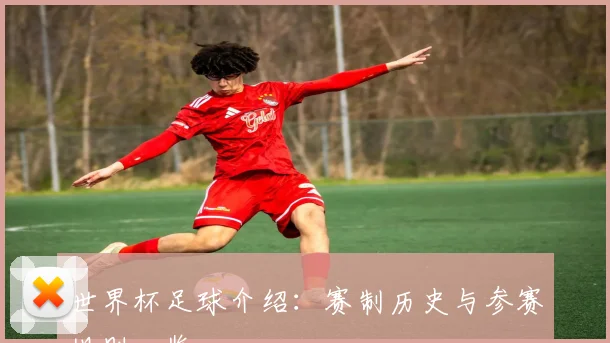 世界杯足球介绍：赛制历史与参赛规则一览